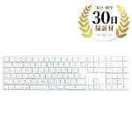 Apple Magic Keyboard A1843 Mac Abv CX  eL[t JIS L[{[h@BN [Etc]