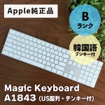 Apple Magic Keyboard A1843 Mac Abv CX  eL[t ؍ L[{[h BN [Etc]