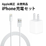 yz 5W USBdA_v^ & LightningP[u iPhone[dZbg Apple gpi